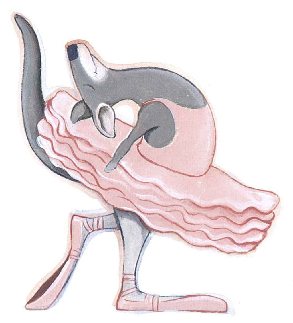 Riverlinks and Monkey Baa Theatre Company present Josephine Wants to Dance