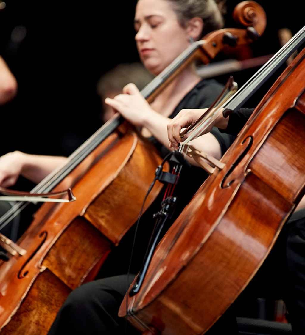 Riverlinks and Melbourne Symphony Orchestra present An Evening with the MSO - Shepparton